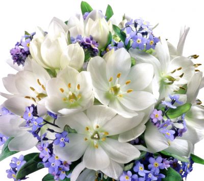 Belles fleurs blanches et violettes