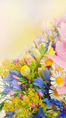 Bouquet de Fleurs Colorées