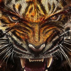 Rugissement de Tigre Féroce