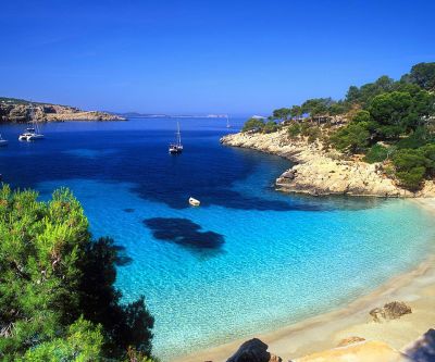 Vue de Plage Tropicale Époustouflante