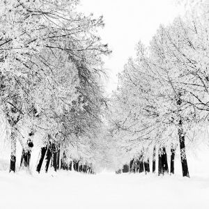 Paysage d'Hiver