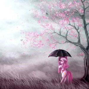 Poney Fantaisie Sous le Cerisier