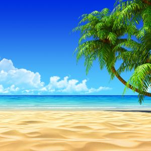 Paradis de Plage Tropicale