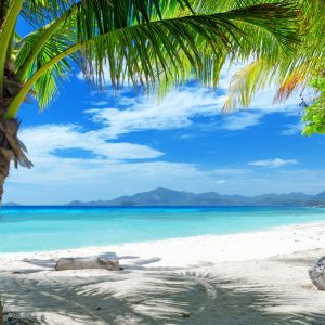 Plage Tropicale