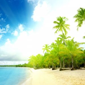 Paradis Tropical