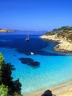 Paradis de Plage Tropicale