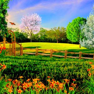 Paysage Printanier Vibrant