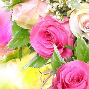 Belles Roses Roses