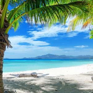 Paradis de Plage Tropicale