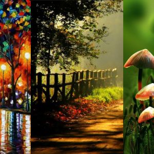 Scènes Naturelles Vibrantes
