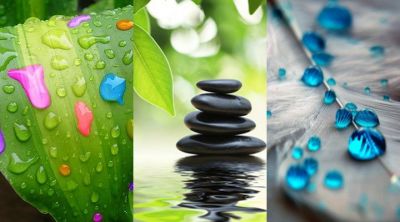 Gouttes d'eau sur des feuilles