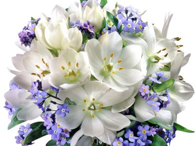 Belles Fleurs Blanches et Violettes