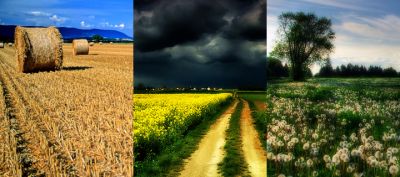 Beaux Paysages Naturels