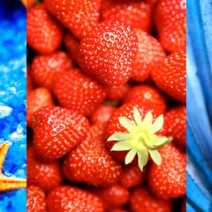 Nature et Nourriture Colorées