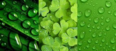 Nature Verte avec Gouttes d'Eau