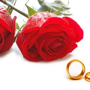 Roses et Alliances