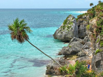 Paradis de Plage Tropicale