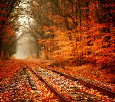 Chemin de Fer Forestier d'Automne