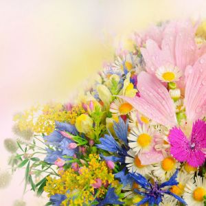 Bouquet de Fleurs Colorées