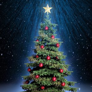 Sapin de Noël avec Étoile