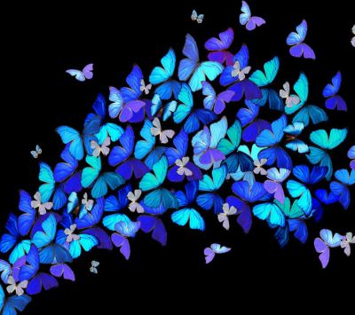 Papillons Colorés sur Noir