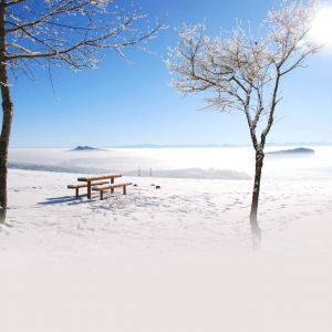 Paysage d'Hiver