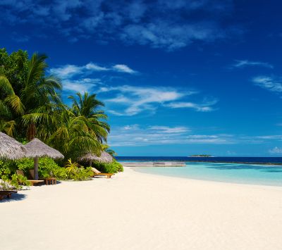 Paradis de Plage Tropicale