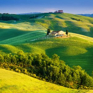 Belles Collines Vertes