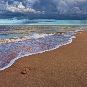 Vagues de Plage Sereines