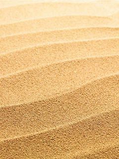 Paysage de Dunes de Sable