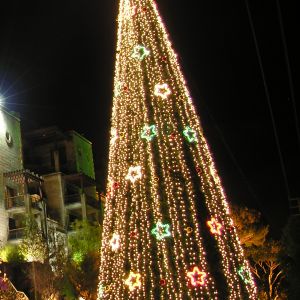 Arbre de Noël Illuminé
