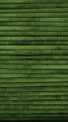 Texture de Bambou Vert
