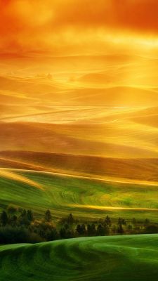 Coucher de Soleil Doré sur les Collines
