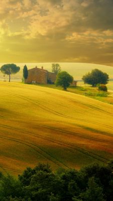 Coucher de Soleil Doré sur les Collines