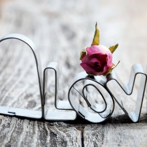 Amour et Rose