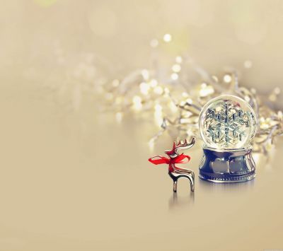Boule à Neige de Noël et Renne