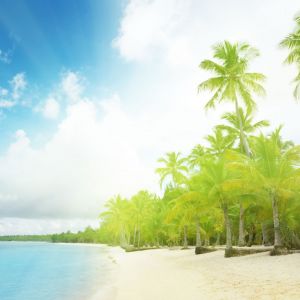 Paradis Tropical