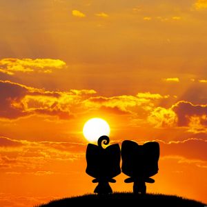 Silhouette de Couple Mignon au Coucher de Soleil