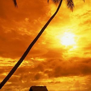 Coucher de soleil tropical sur l'eau