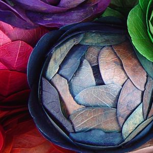 Motifs de Feuilles Colorées