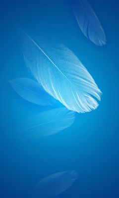 Fond Abstrait de Plume Bleue