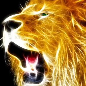 Lion Enflammé