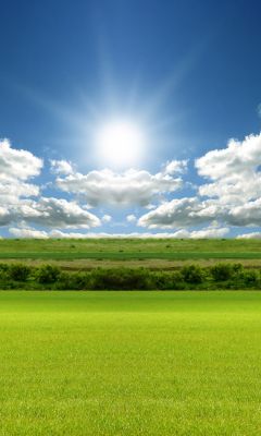 Prairie Ensoleillée