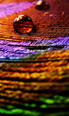 Motifs Abstraits Colorés