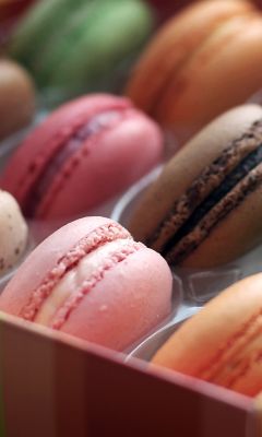 Macarons Colorés