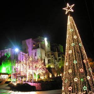 Arbre de Noël de Nuit