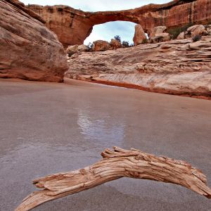 Arc Naturel