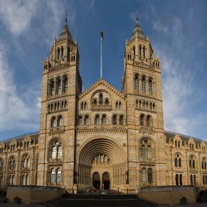 Musée d'Histoire Naturelle Londres