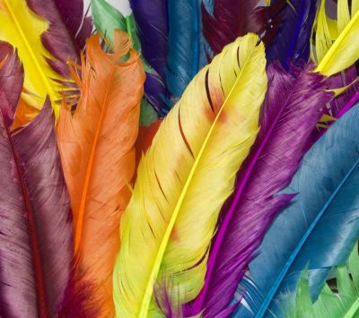 Fond d'Plumes Colorées