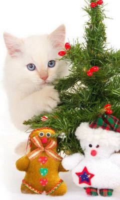 Mignon Chaton avec Sapin de Noël